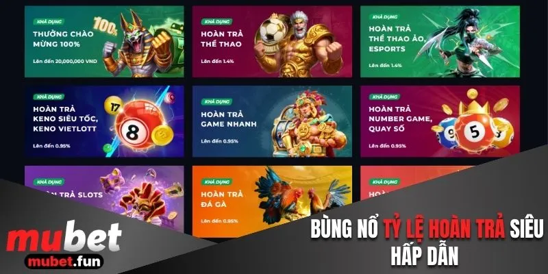 Bùng nổ tỷ lệ hoàn trả siêu hấp dẫn