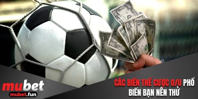 Các biến thể cược O/U phổ biến bạn nên thử